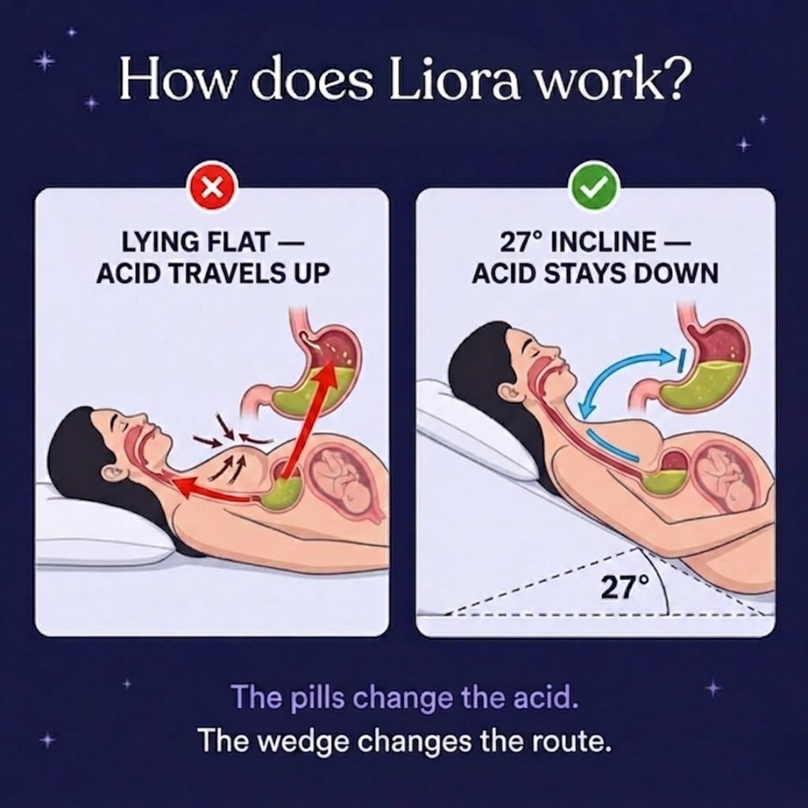 Liora Pregnancy Heartburn Wedge Pillow™